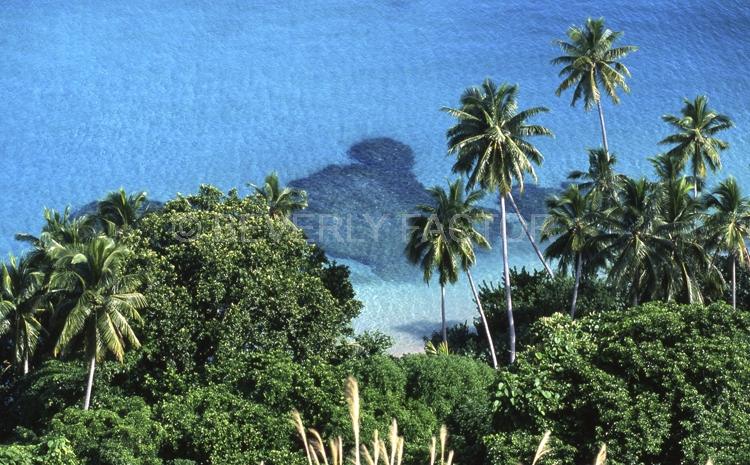 Islands;Fiji;palm trees;blue sky;blue water;sand